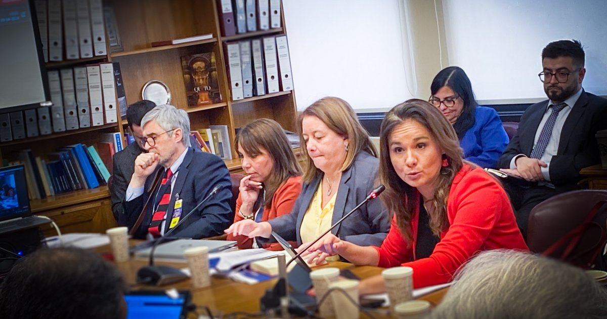 Subsecretaria Gloria De La Fuente Participa En Comisi N De Relaciones