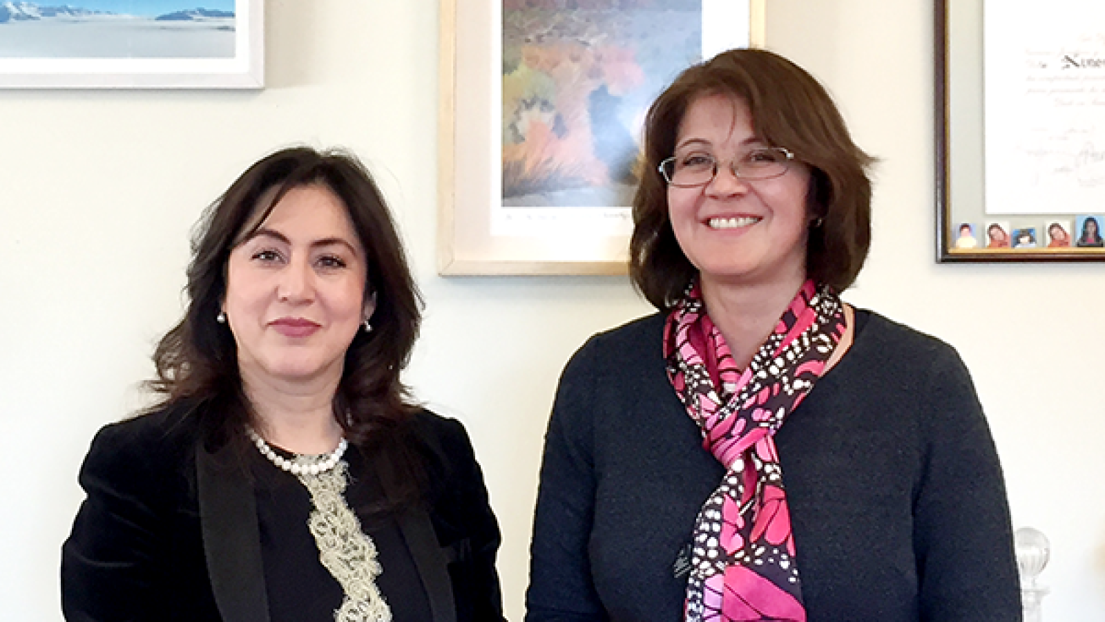 Chile y Bolivia revisan avance de agenda técnica bilateral