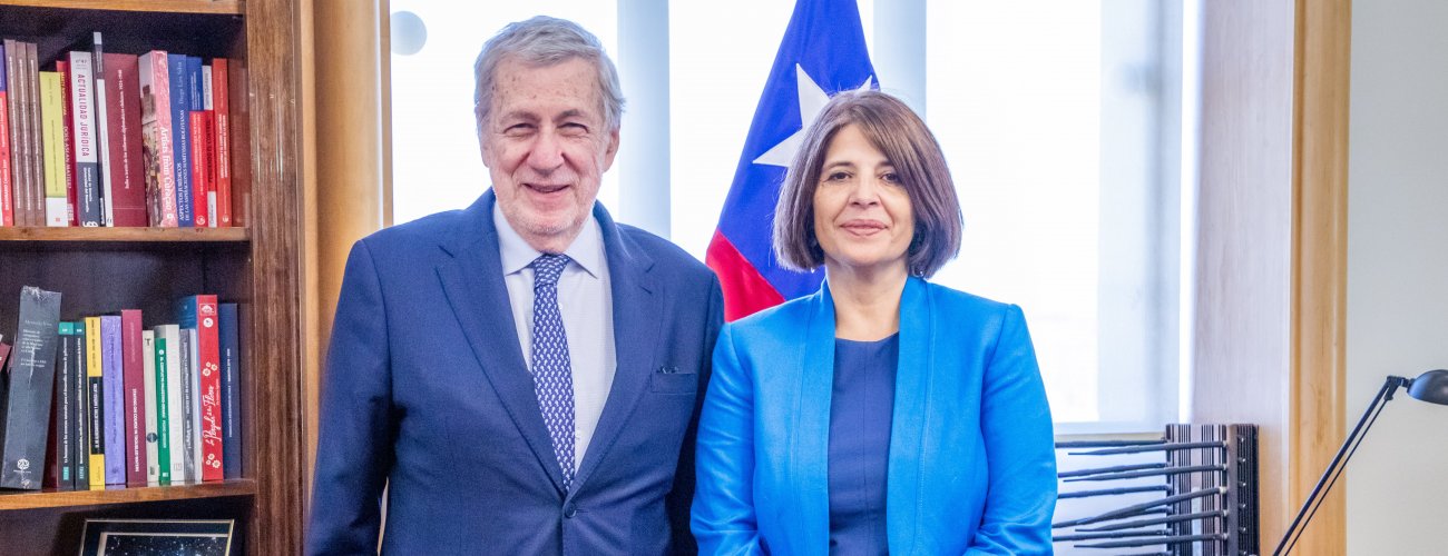 Canciller se reúne con directora regional de Idea Internacional