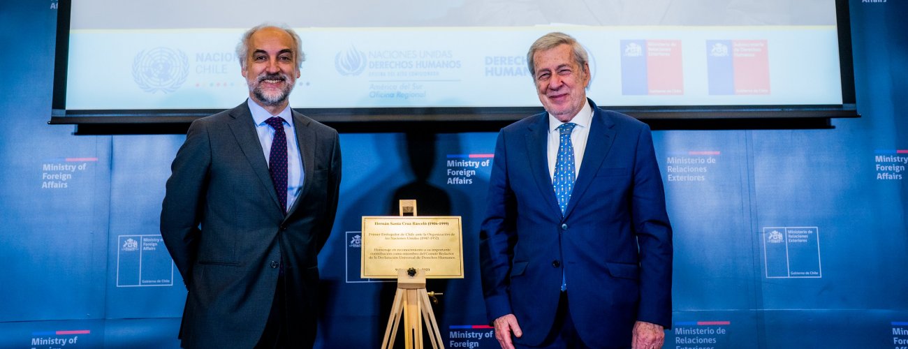 https://www.minrel.gob.cl//noticias-anteriores/canciller-alberto-van-klaveren-inaugura-dialogo-hernan-santa-cruz-y