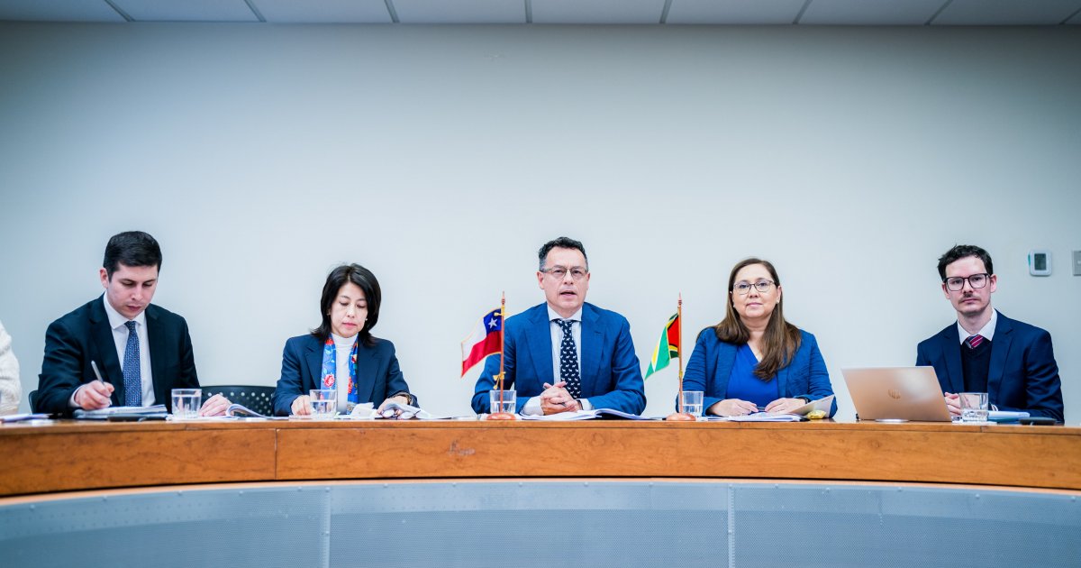 Chile y Guyana: Primeras Consultas Políticas Remotas