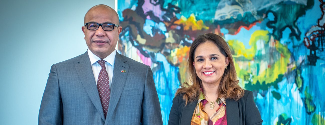 Subsecretaria de la Fuente recibe a Embajador de Arabia Saudita