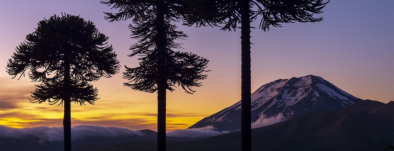 Cancillería conmemora el Día Internacional de los Pueblos Indígenas y reafirma su compromiso con el respeto de los derechos humanos de los pueblos originarios