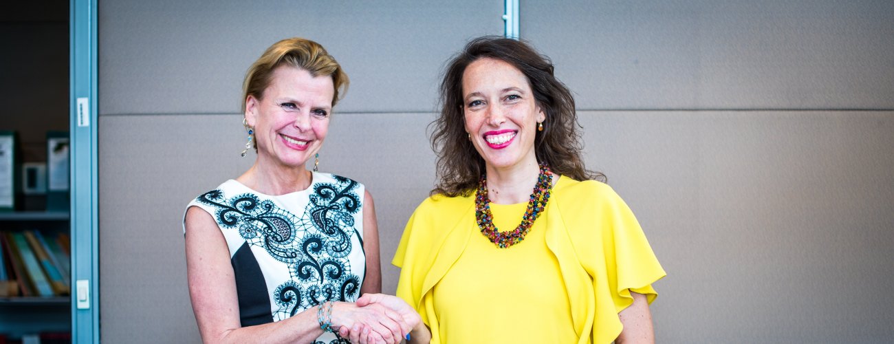 Subsecretaria Valdivia se reúne con Åsa Regnér, Directora Ejecutiva Adjunta de ONU Mujeres en CEPAL