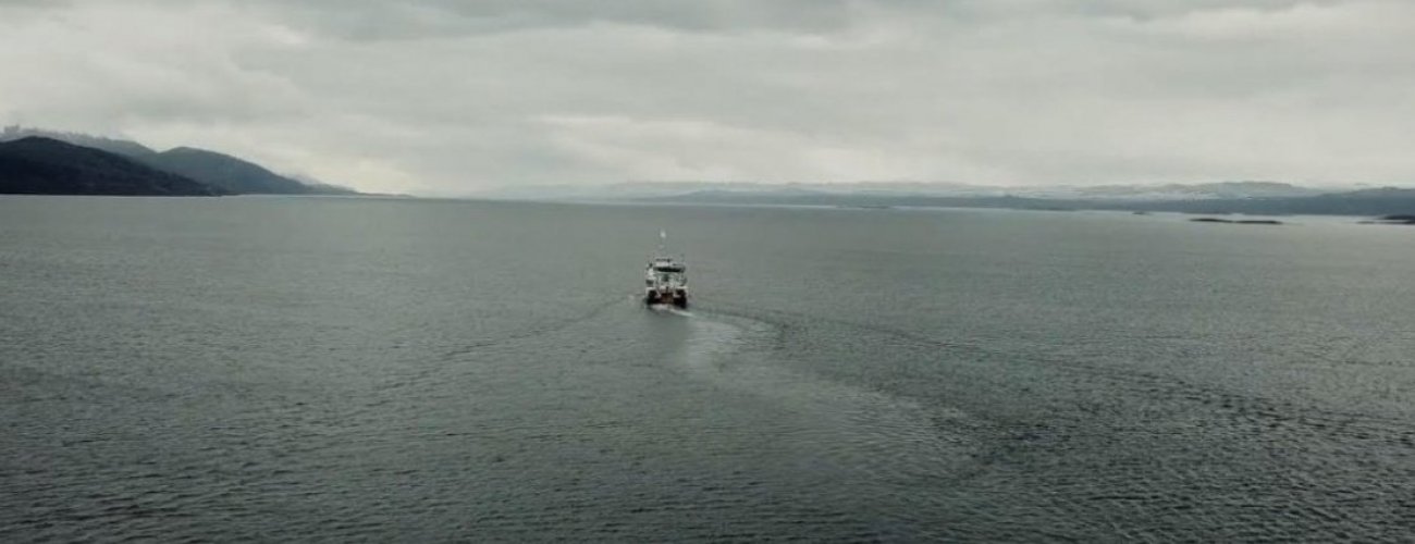 Chile y Argentina celebraron una nueva reunión de la Comisión Binacional de Cooperación en Investigación Científica Marina Austral”