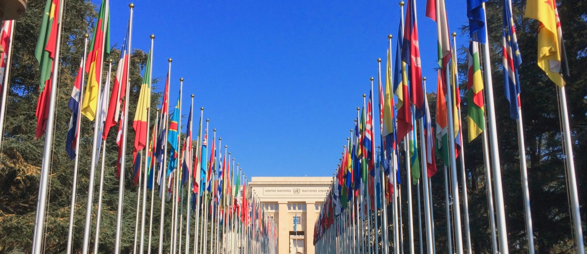División de Asuntos Multilaterales