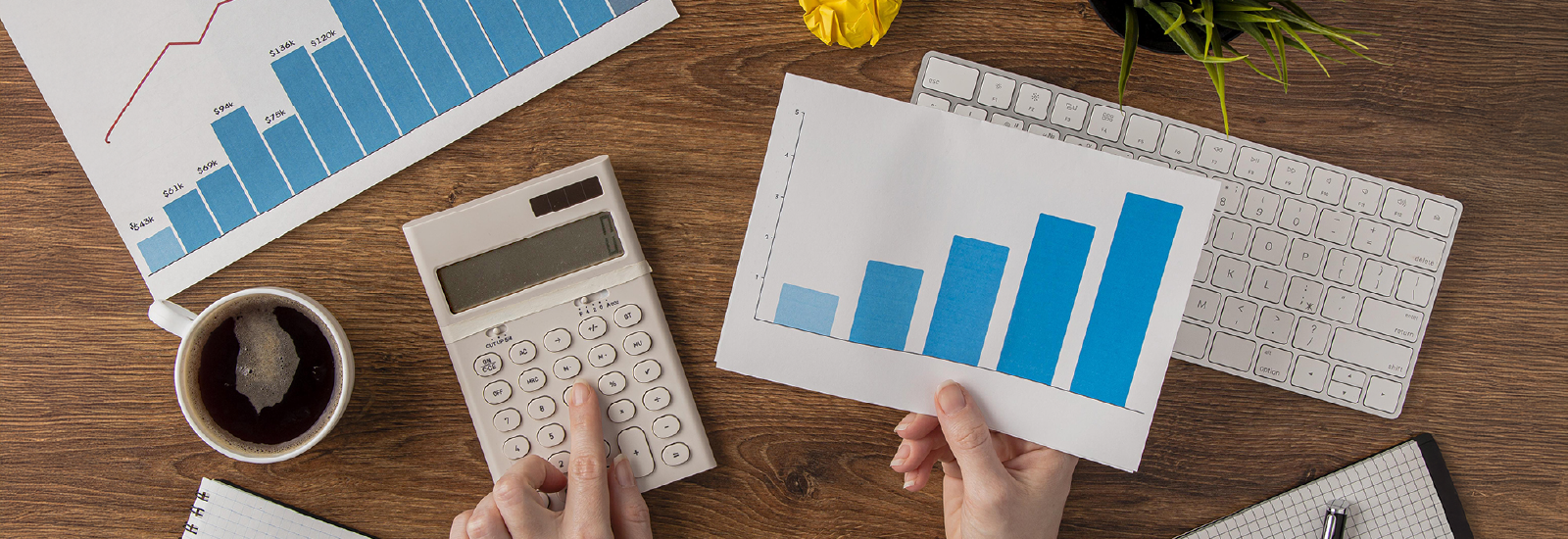 División de Finanzas y Presupuesto