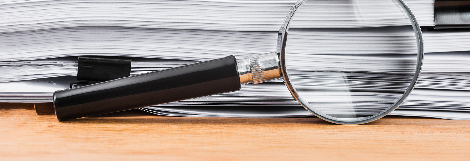 División de Fiscalización Interna