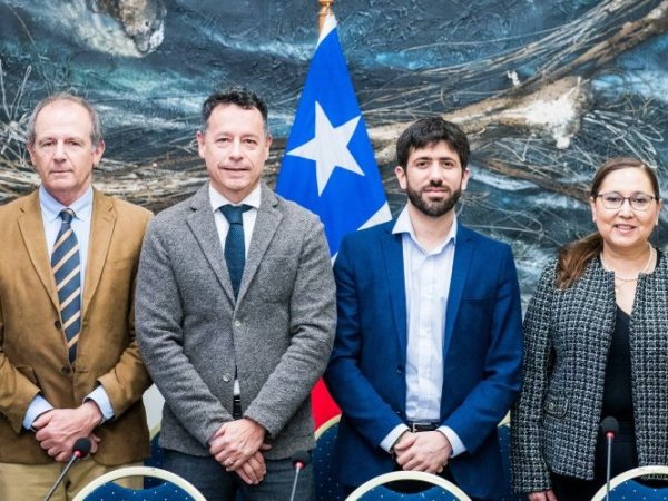 Subsecretario (s) Rodrigo Olsen lidera IV Reunión de la Sección Nacional del Sistema del Tratado Antártico