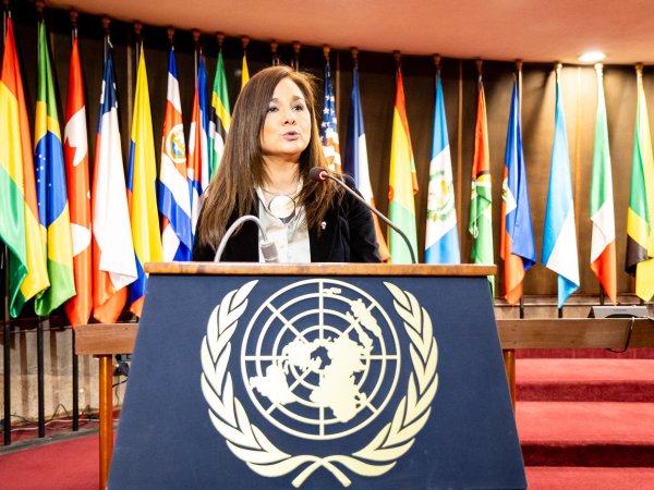 Subsecretaria participa en panel sobre multilateralismo en la CEPAL